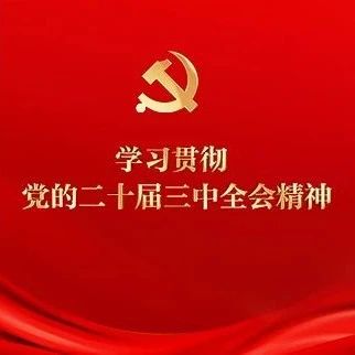 学习贯彻党的二十届三中全会精神 | 以进一步全面深化改革开辟中国式现代化广阔前景